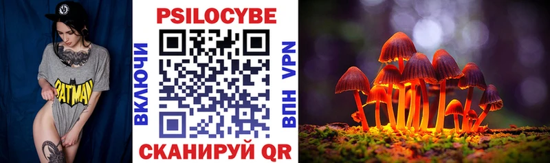 Купить  Котово  Псилоцибиновые грибы Psilocybe 